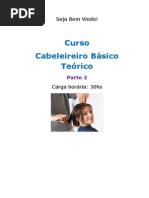 Curso Cabeleireiro Básico - Parte 2