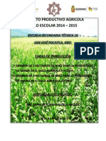 Proyecto Productivo Agricola