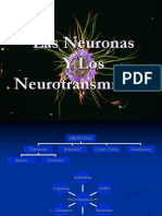 Neuron As y Neuro Transm I Sores
