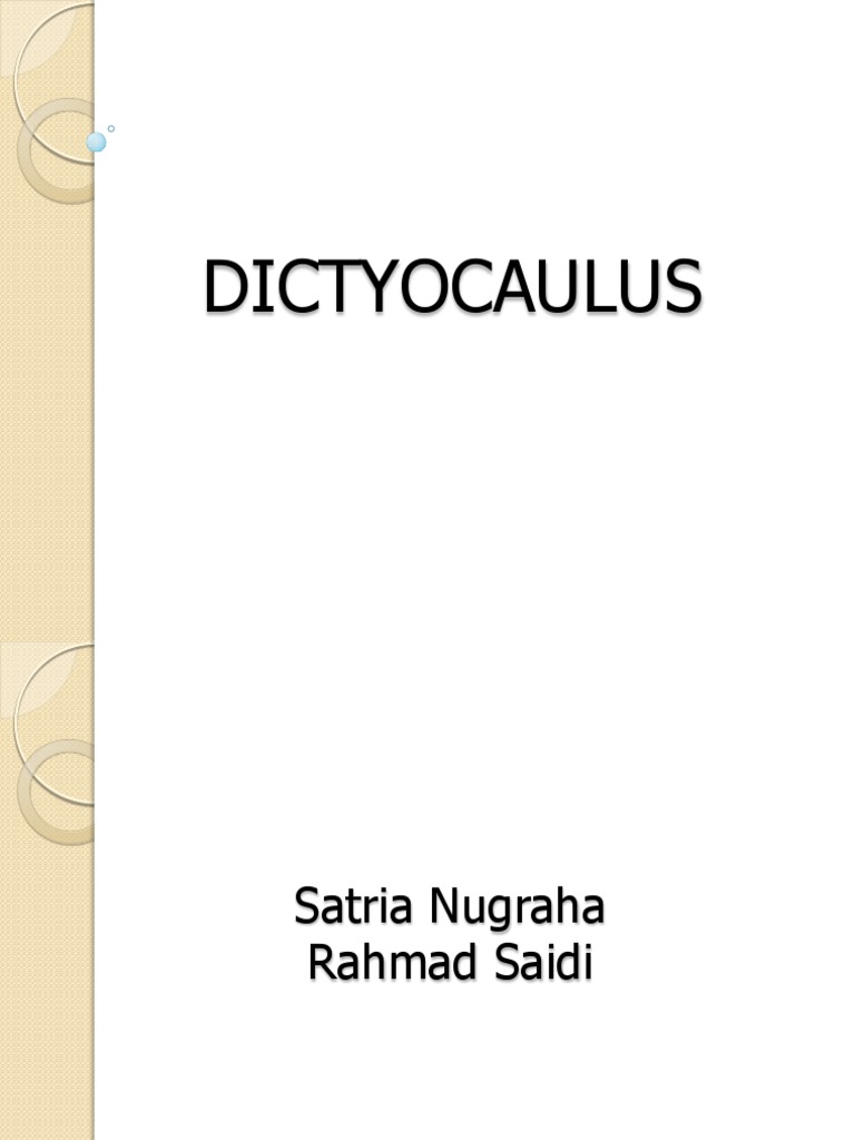 Lungworms of Ruminants and Horses PDF