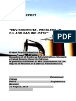 MBA Project (Environment Issues of Oil and Gas)