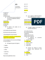 EXAMEN  DE ANATOMIA N°1