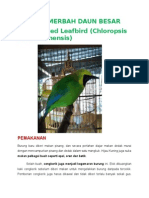 Download Burung Merbah Daun by Mataputih SN240794571 doc pdf