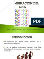 Recombinacion Genetica