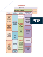 Organigramma Finale