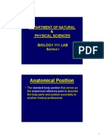 Anatomical Position: Department of Natural & Physical Sciences Biology 111 Lab