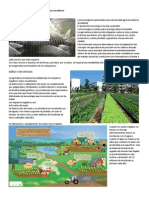Desventajas y Beneficios de La Agricultura Moderna 1.1