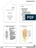 Physiologie rénale.pdf