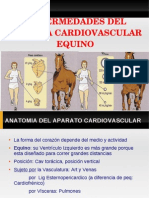 Enfermedades Del Sistema Cardio Vascular Equino