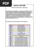 Identificación de Bacterias con API 20 E | PDF | Bioquímica | Química