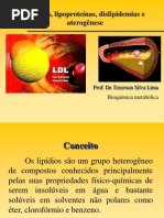 033_BM Aula 7 Lipideos 2011