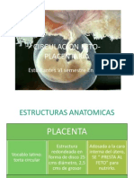 Circulacion Feto Placentaria