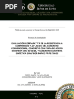 Artículo Científico - Patazca y Tafur