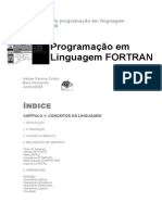 Guia Básico de Programação em Linguagem Fortran 77 e 90