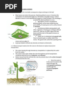 9.1 Transport in Plants Notes