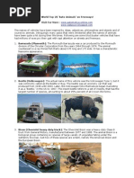 Download To 20 Best Automotive Cars and Their Animal Names by Raj SN2409041 doc pdf
