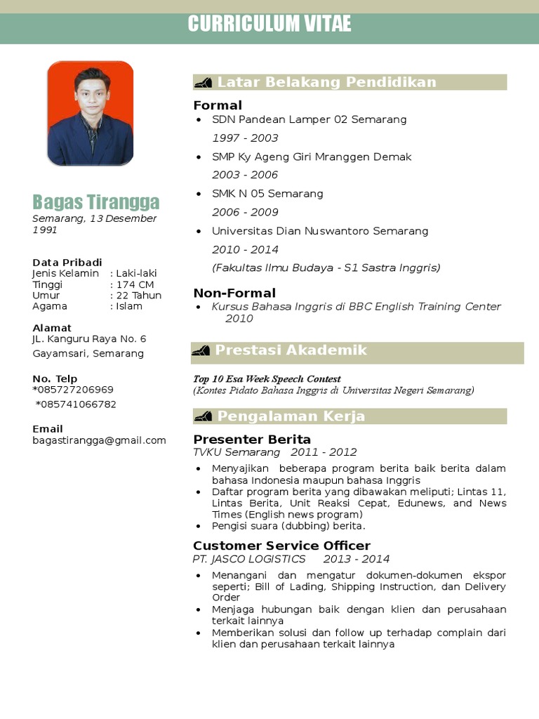 Contoh CV PDF