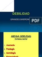 46744075-1-DEBILDAD