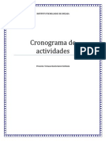 Cronograma de Actividades