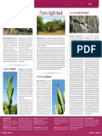 Plant Defences FACTSHEET Veld & Flora Sept 2014