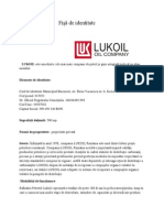 Fisa Identitate Lukoil