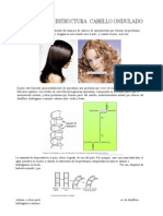 (340451764) Estructura Pelo