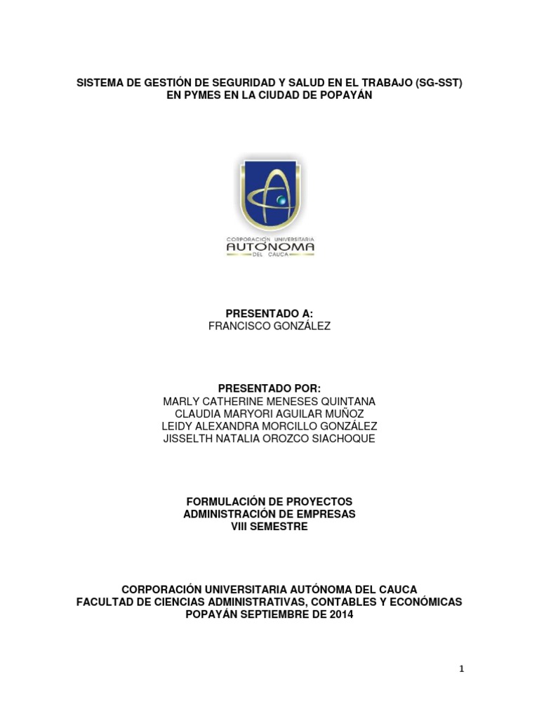 Sistema de Gestión de Seguridad y Salud en El Trabajo | PDF | Pequeñas ...