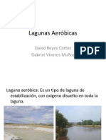 Lagunas Aeróbicas - Presentación