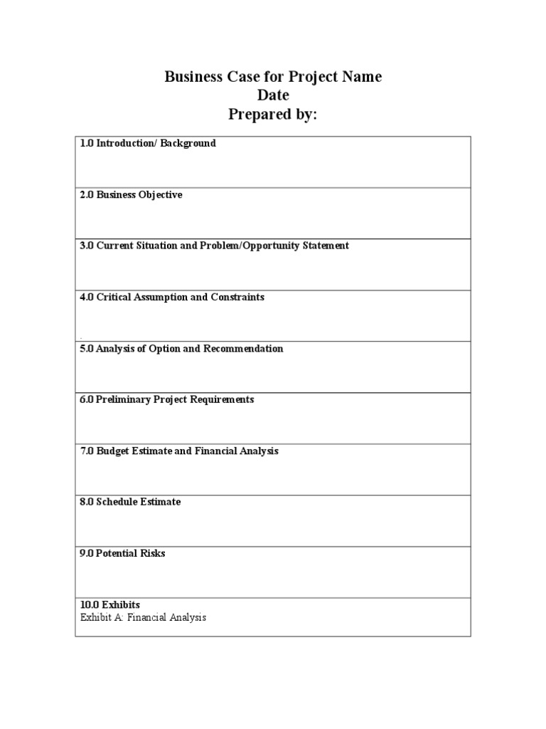 Business Case & Analysis Guide | PDF | Technology & Engineering