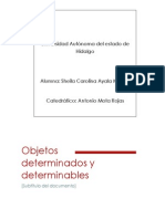 Objetos Determinados y Determinable