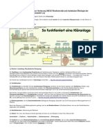 FRAGENAUSARBEITUNG Biodiversitaet Und Molekulare Oekologie Der Mikroorganismen Teil 1