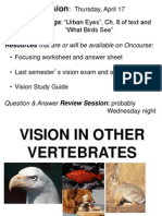 Vision Biology