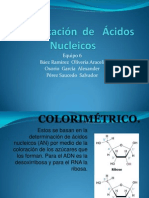 Identificación  de   Ácidos  Nucleicos eq6.pptx