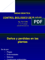 Curso Fitopatologia 1 Introduccion