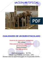 Inseminacion Artificial en Porcinos