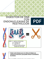 Digestión de DNA Con Endonucleasas de Restricción