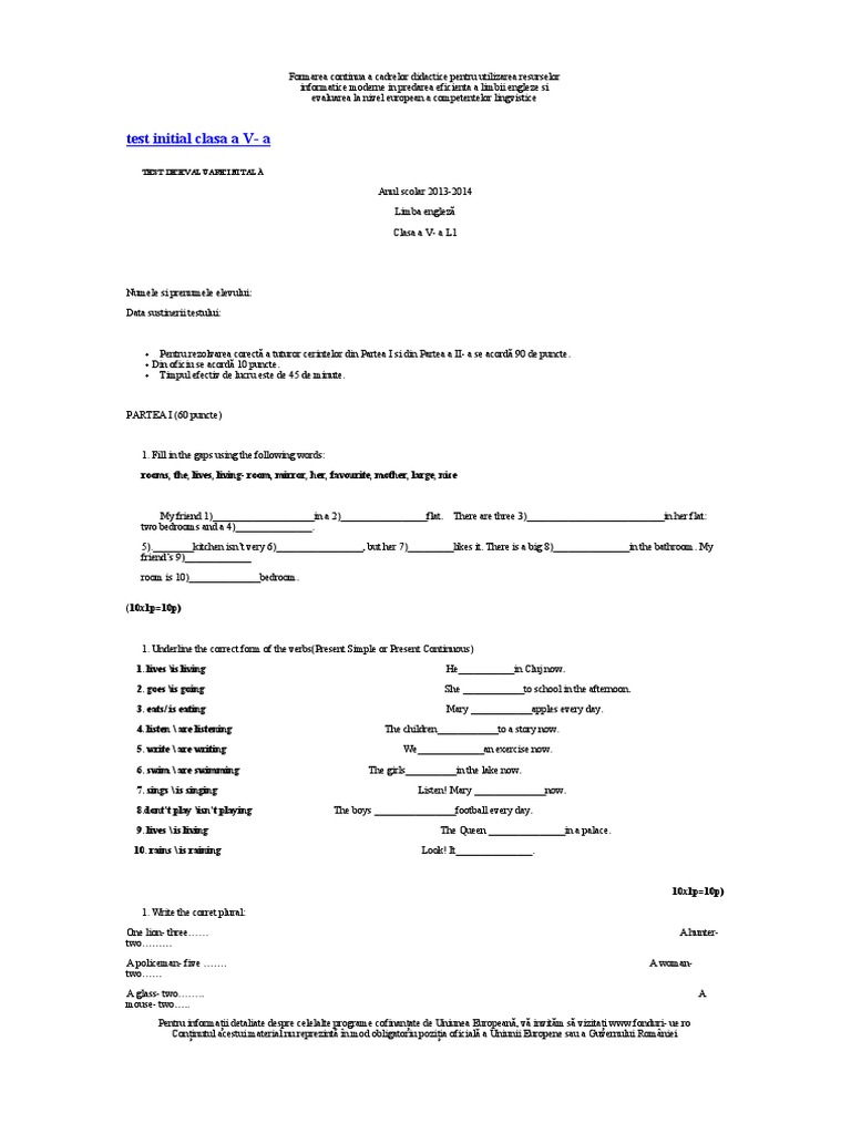Test Initial Clasa V | PDF