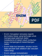 pertemuan 7 (enzim)