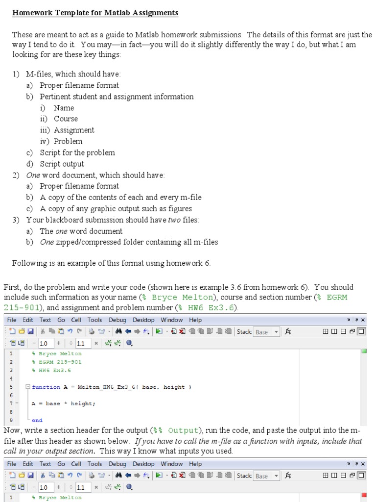 Template for Matlab Assignments File Format Matlab