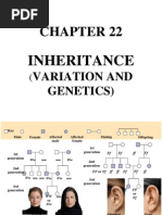 Chapter 22 Inheritance