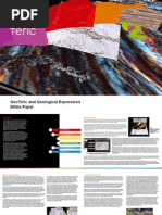 GeoTeric White Paper