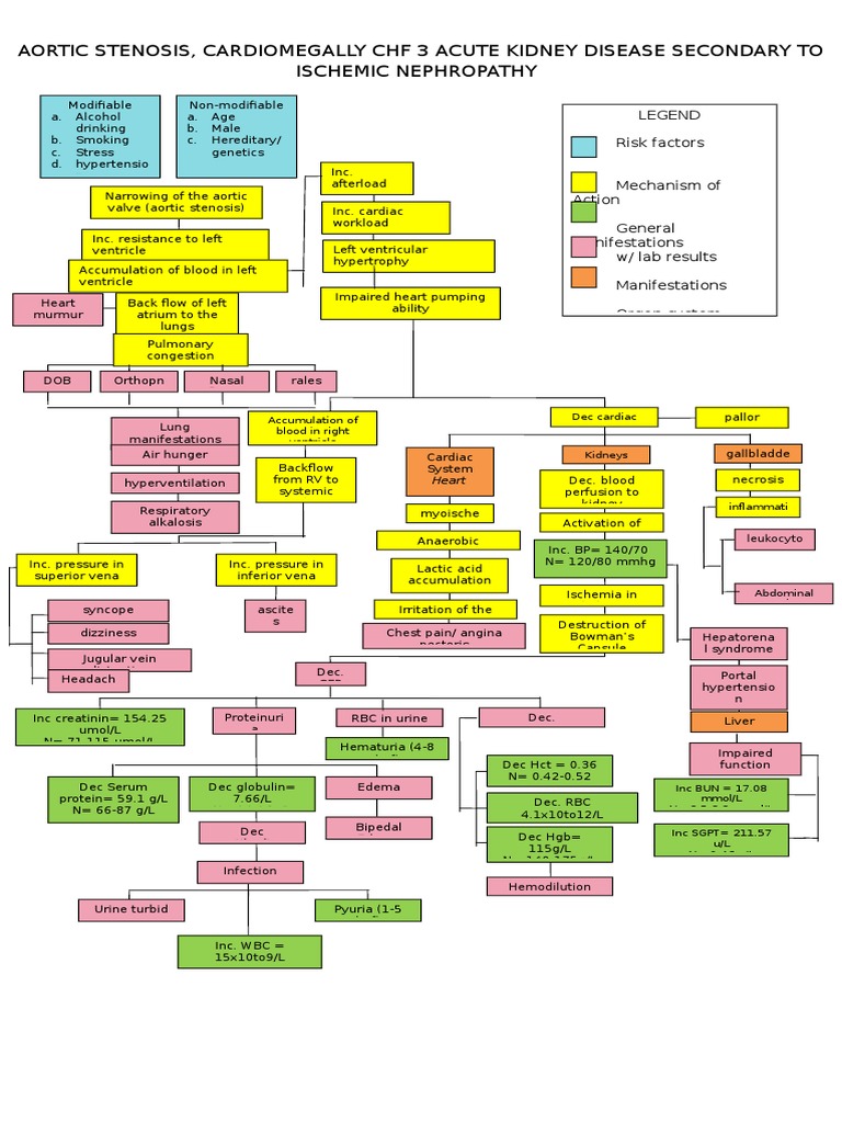 Aortic Stenosis and Kidney Disease Overview | PDF | Science & Mathematics