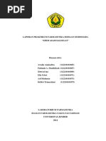 Download Krim Asam Salisilat by DefitriTrimardani SN241075791 doc pdf