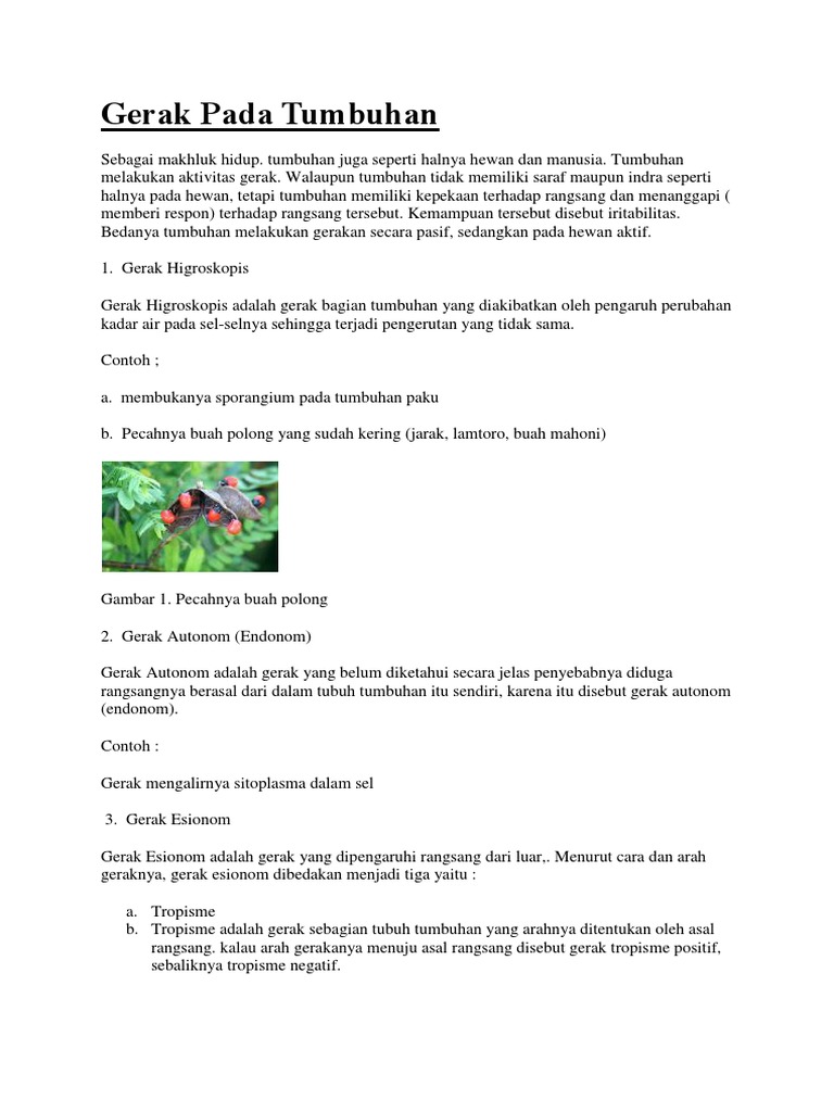 Gerak Pada Tumbuhan Pdf