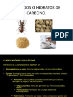 Glúcidos o Hidratos de Carbono