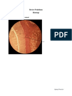 Review Praktikum Histologi Neurosains