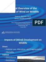 General Overview of The Impacts of Wind On Wildlife: Sarah A. Barnum, Ph.D. Senior Wildlife Ecologist