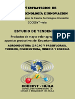 2_ Estudio de Tendencias Sectores Productivos - Huila (Dic_ 2010) (1)