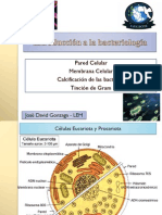 Bacterias PDF