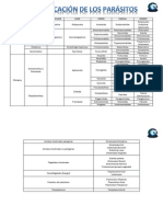 Clasificacion Protozoarios PDF